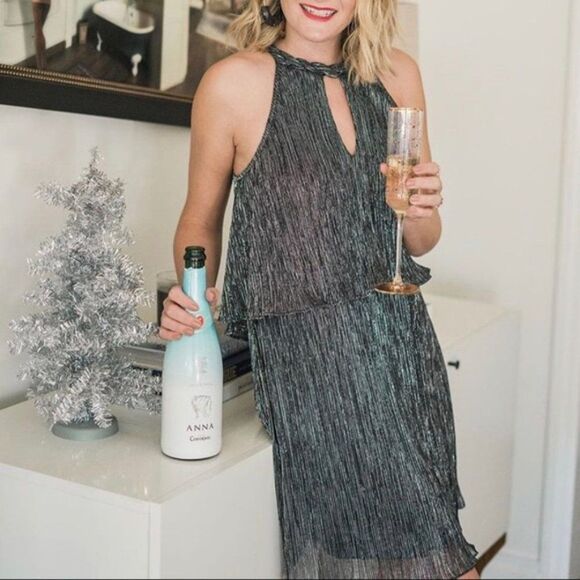 ELLA MOSS Silver Stripe METALLIC Tiered Dress M - Picture 5 of 16